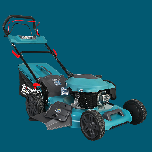 Formă inovatoare a punții