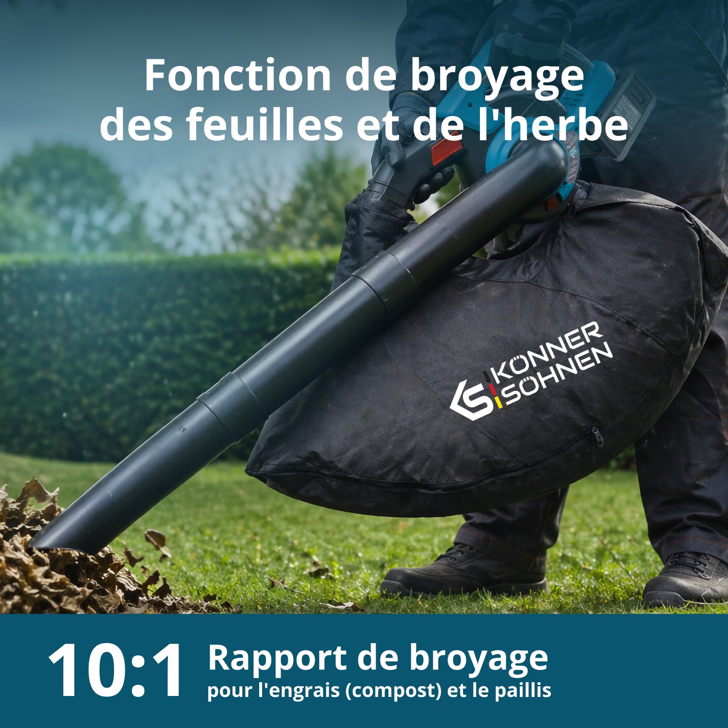 Kit promotionnel pour la taille des haies KS LBV-HT-SET